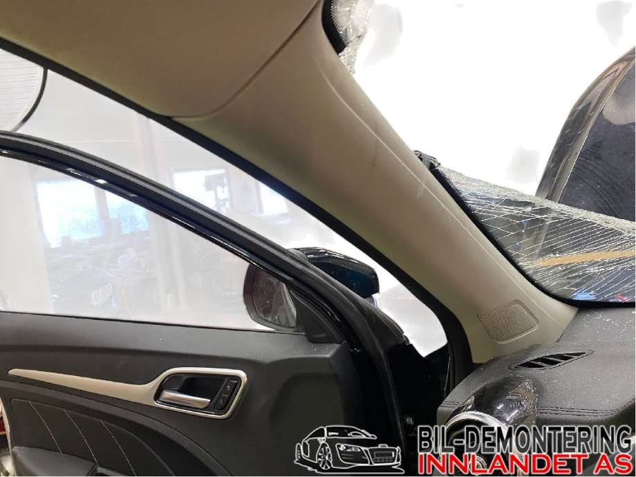 Airbag gardin venstre til MG ZS EV, 2019-2021 (Type I, Fase 1) (MG|10252745)