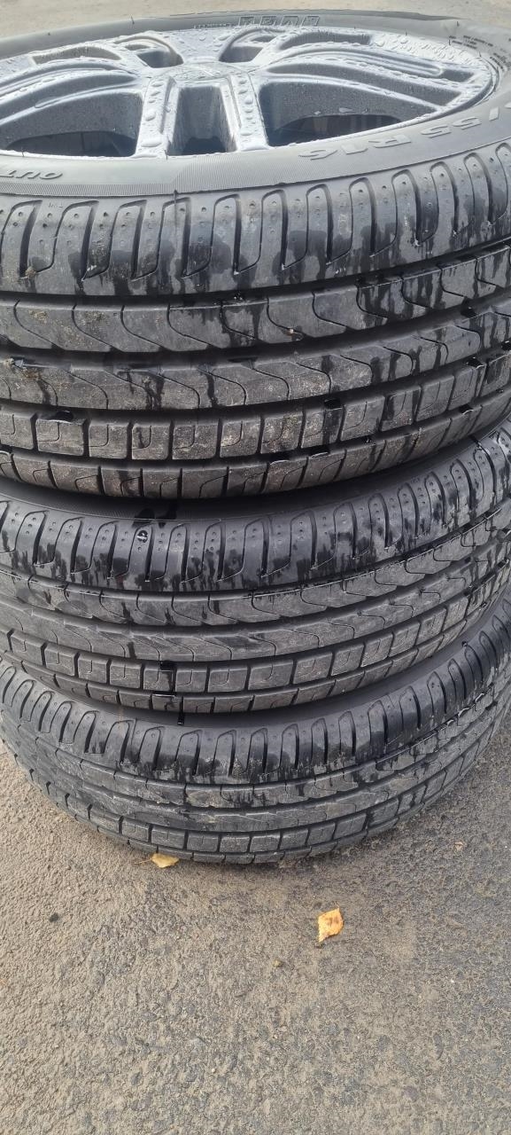 Dekk til Ford Focus 2014-2018 (Type III, Fase 2)  (205/55/16|PIRELLI 2022|)