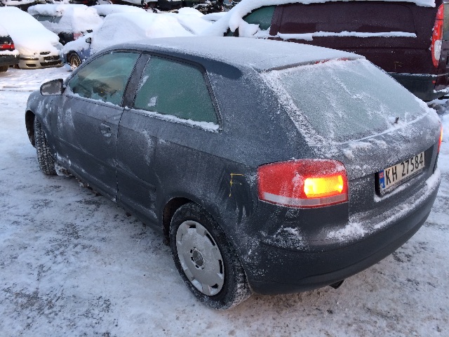 Audi A3 2003-2008 (Type II, Fase 1) , Motorkode: BGU, Girkassekode: 