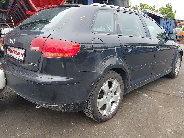 Audi A3 2003-2008 (Type II, Fase 1) , Motorkode: BKC, Girkassekode: 