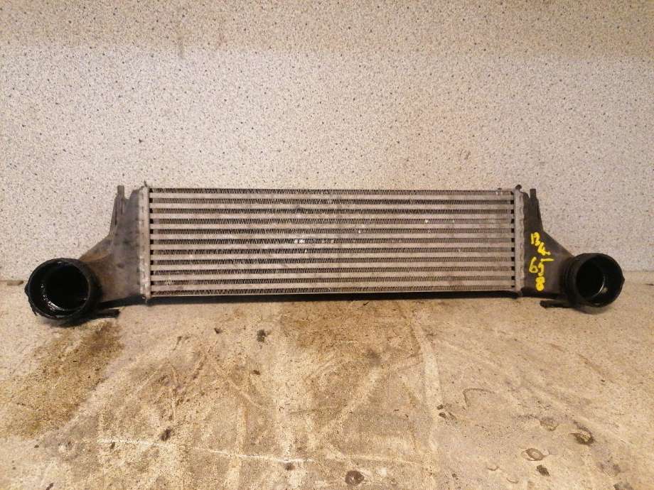 Intercooler til BMW X5, 2000-2006 (E53) (E53) 