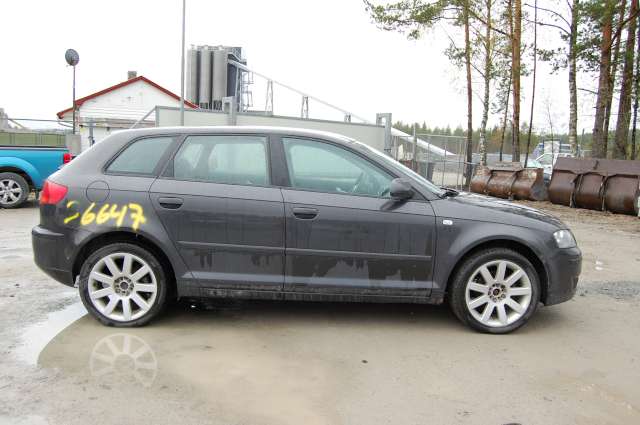 Audi A3 2003-2008 (Type II, Fase 1) , Motorkode: , Girkassekode:
