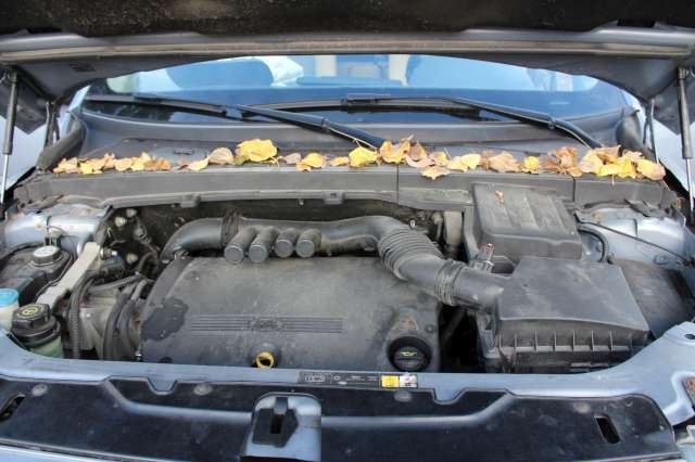 Land Rover Freelander 2007-2014 (Type II) , Motorkode: , Girkassekode: 