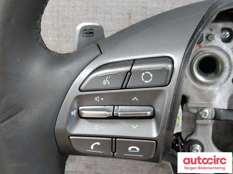 Ratt til Hyundai Ioniq Electric 2019-->> (Fase 2) (HYUNDAI|56100G7HH0T9Y|)
