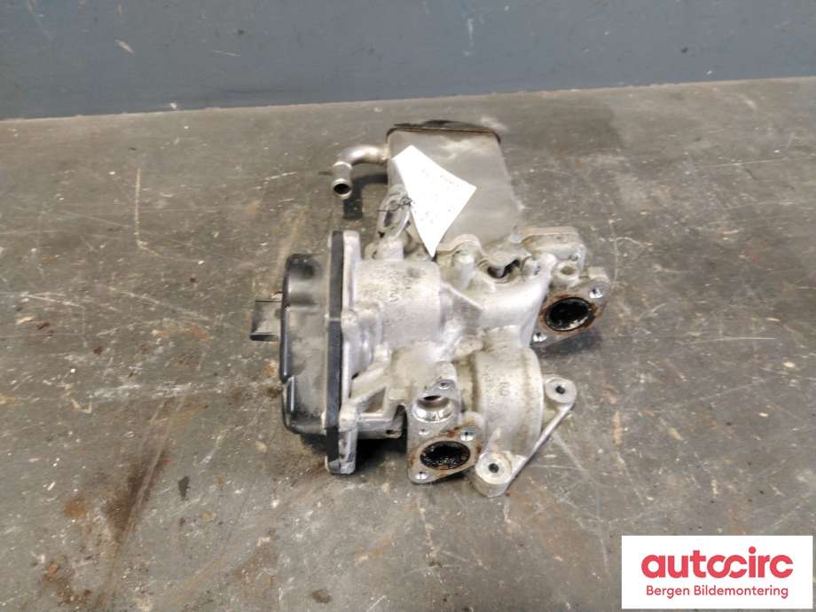 EGR-kjøler til VW Transporter / Caravelle 2015-2019 (T6) (T6) (VOLKSWAGEN|03L 131 512 DS|)