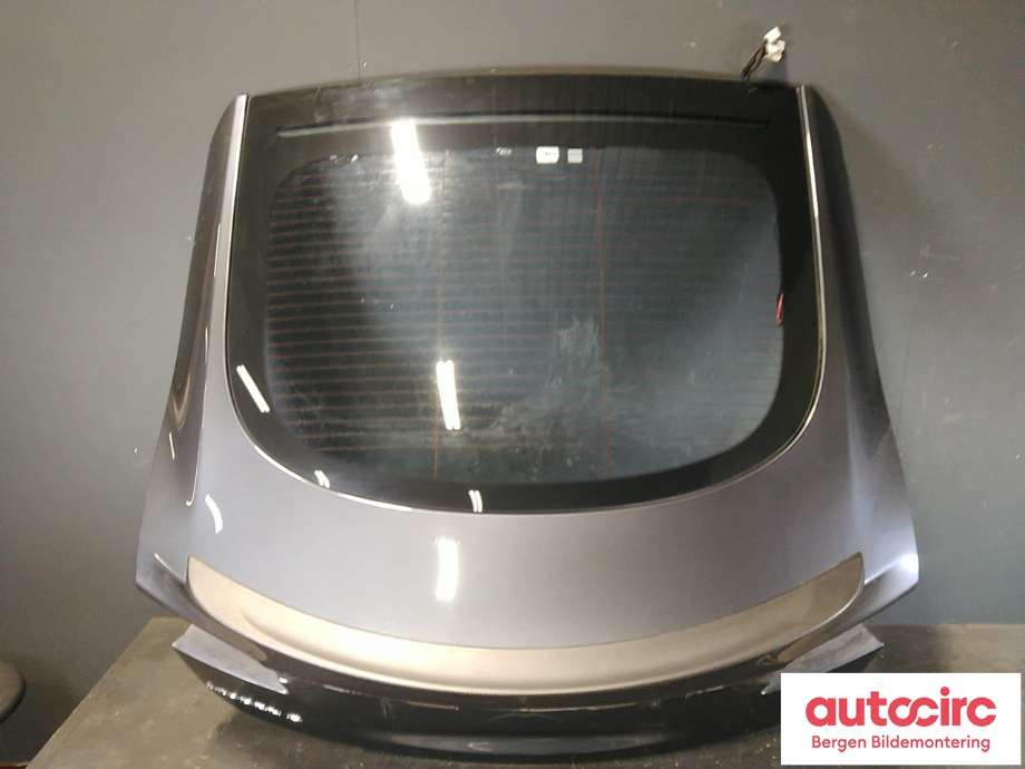 Bakluke til Tesla Model S 2013-2016 (Fase 1)  (TESLA|)