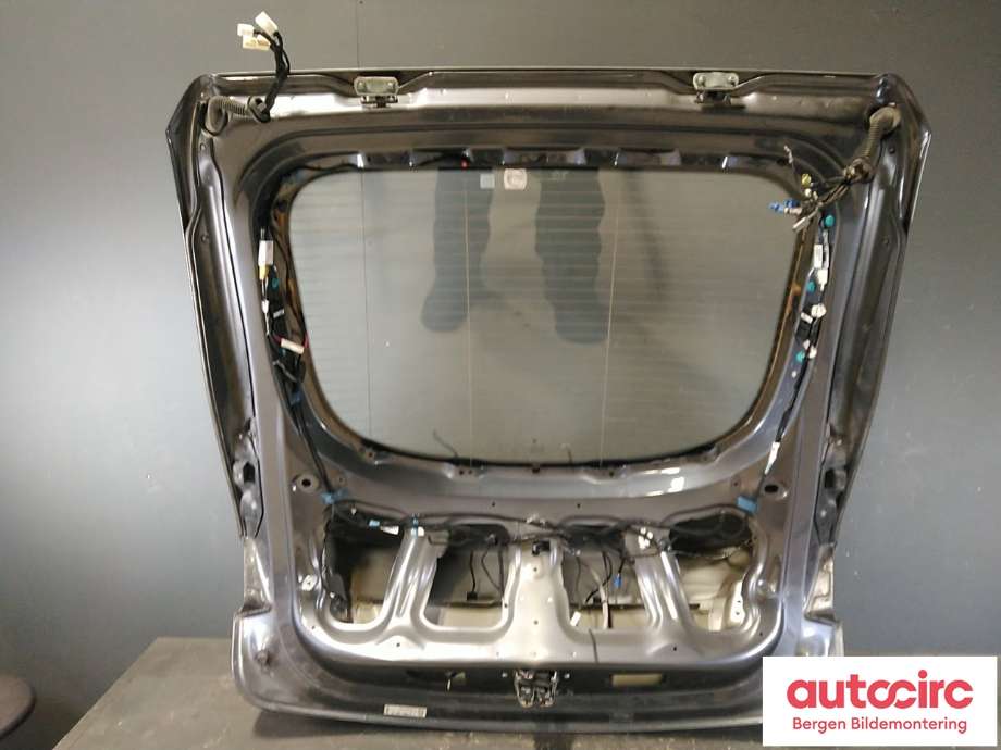 Bakluke til Tesla Model S 2013-2016 (Fase 1)  (TESLA|)