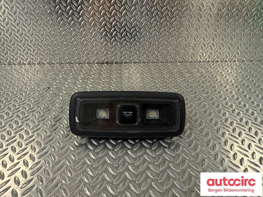 Taklyspanel til Ford Mustang Mach-e, 2020-->> (FORD (US)|2497850)