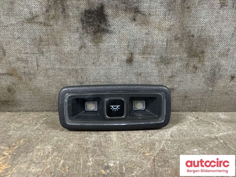 Taklyspanel til Ford Mustang Mach-e, 2020-->> (FORD (US)|2497850)