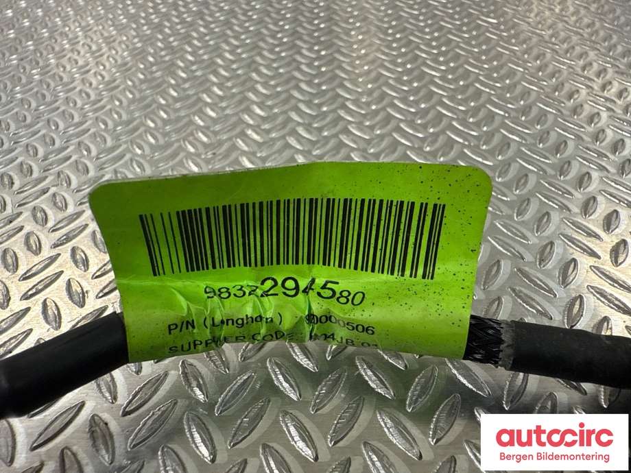 Kamera til Peugeot 208 2019-->> (Type II)  (PEUGEOT|98 419 248 80|98 322 945 80|)