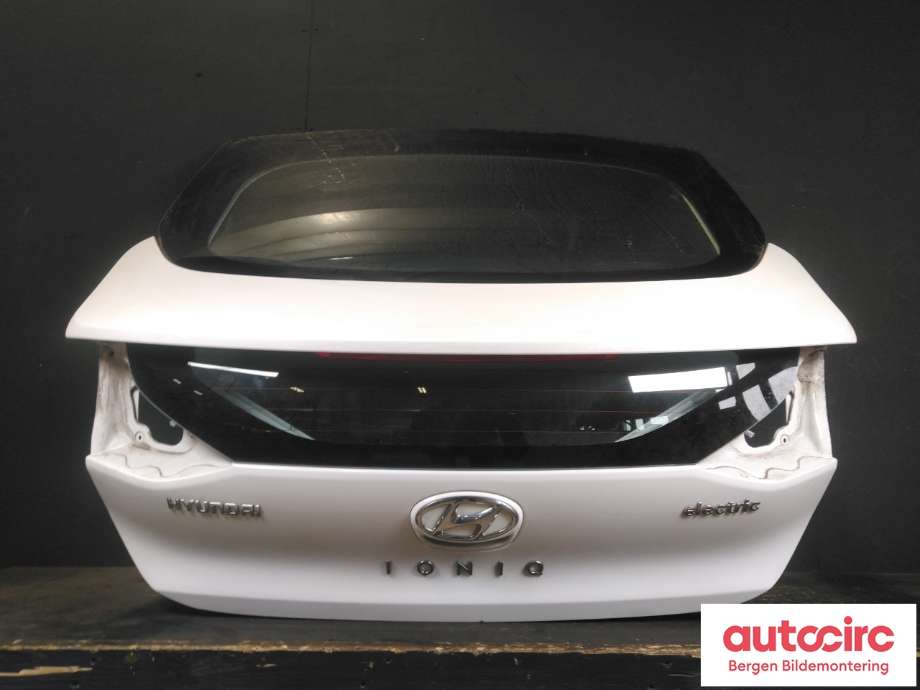 Bakluke combi til Hyundai Ioniq Electric 2016-2019 (Fase 1)  (HYUNDAI|73700G 2000|)