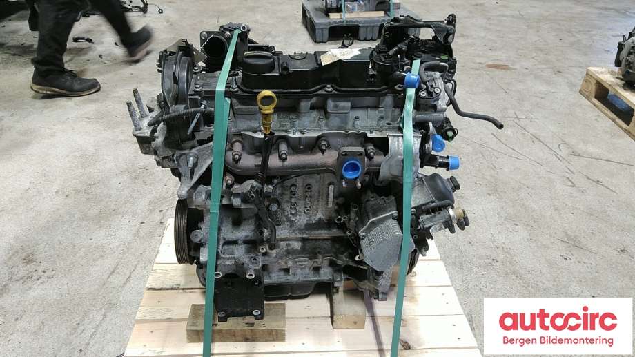 Motor diesel til Ford Focus 2011-2014 (Type III, Fase 1)  (FORD|1685766|)