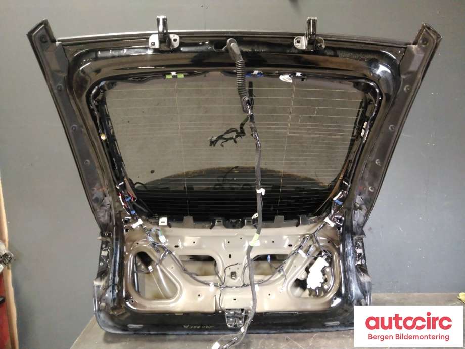 Bakluke combi til Tesla Model X 2016-->>  (TESLA|)