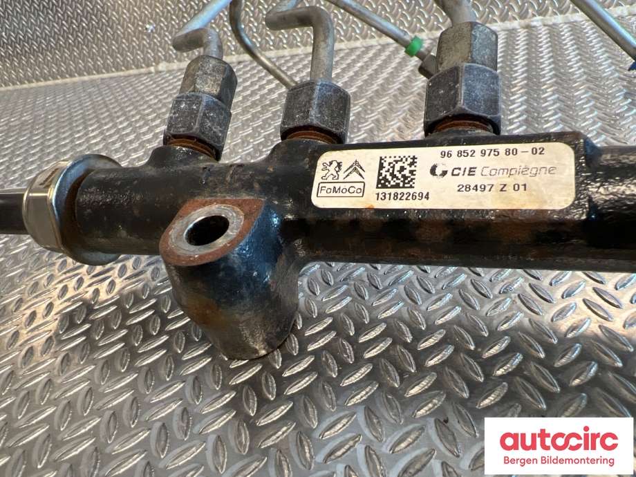 Dyseskinne (fuelrail) til Peugeot 2008 2013-2019 (Type I)  (PEUGEOT|1570 Q4|1570 Q2|1570 P9)