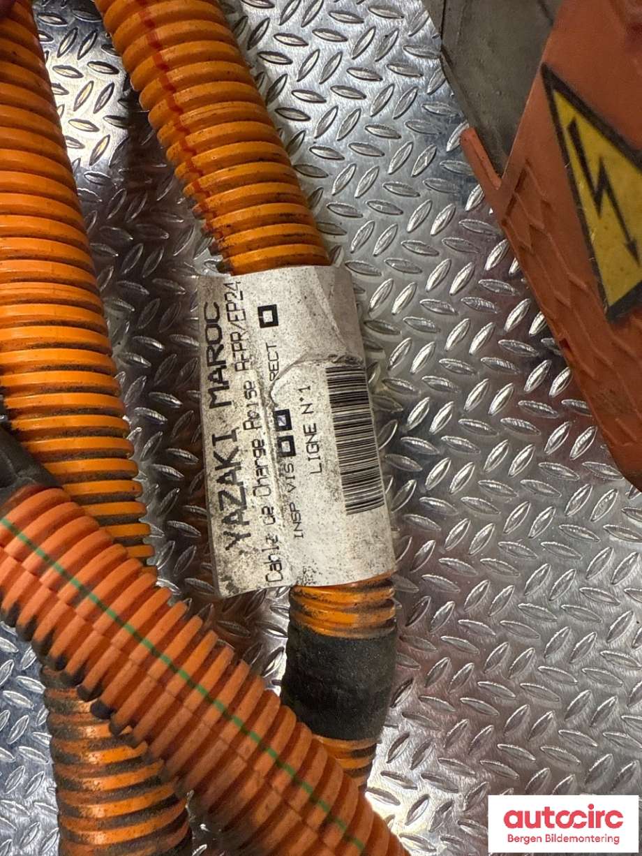 Batterilader (OBC - On Board Charger) til Peugeot 2008 2019-->> (Type II)  (PEUGEOT||98 487 176 80)