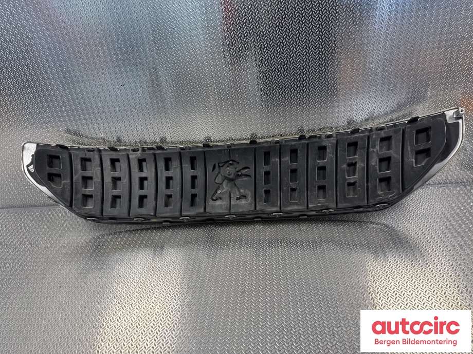 Grill til Peugeot Expert 2016-->> (Type III) (PEUGEOT|)