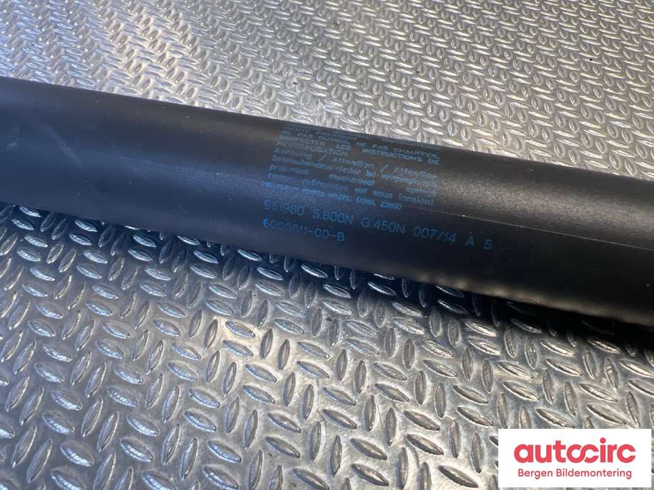 Baklukedemper til Tesla Model S 2013-2016 (Fase 1)  (TESLA|6006611-00-B|)
