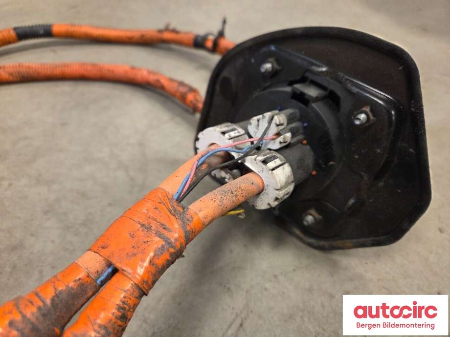 Ledningsnett til Citroën C-Zero 2011-2020  (CITROEN|16 141 968 80|)