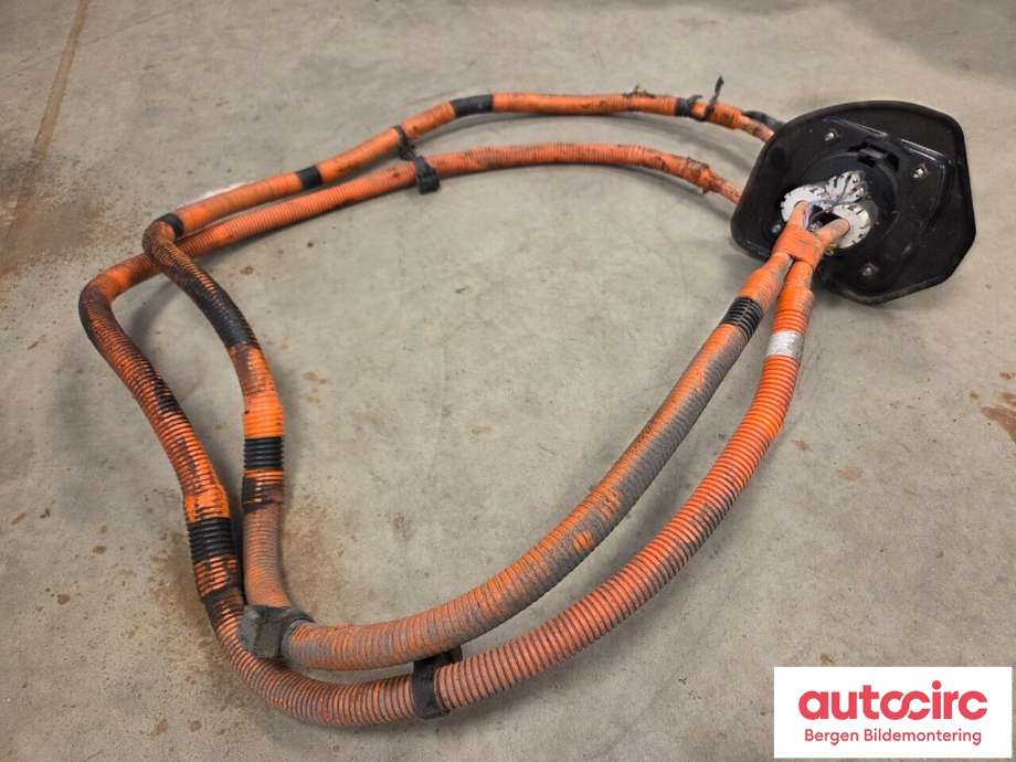 Ledningsnett til Citroën C-Zero 2011-2020  (CITROEN|16 141 968 80|)