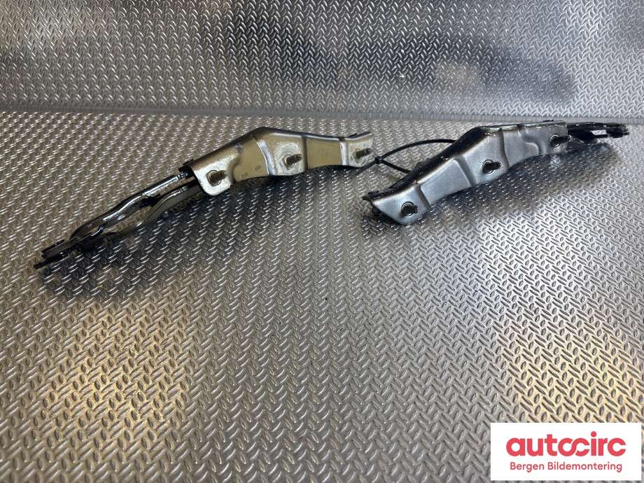 Hengsler til Tesla Model 3 2018-2023 (Fase 1) (1092821-00-E|109282100E|)