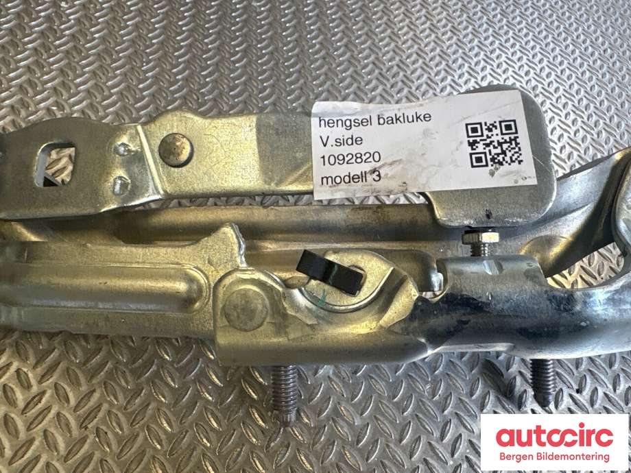 Hengsler til Tesla Model 3 2018-2023 (Fase 1)  (1092820-00-E|)