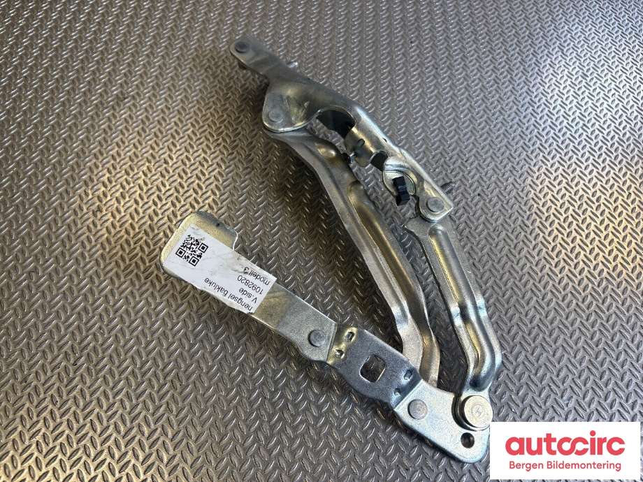 Hengsler til Tesla Model 3 2018-2023 (Fase 1)  (1092820-00-E|)