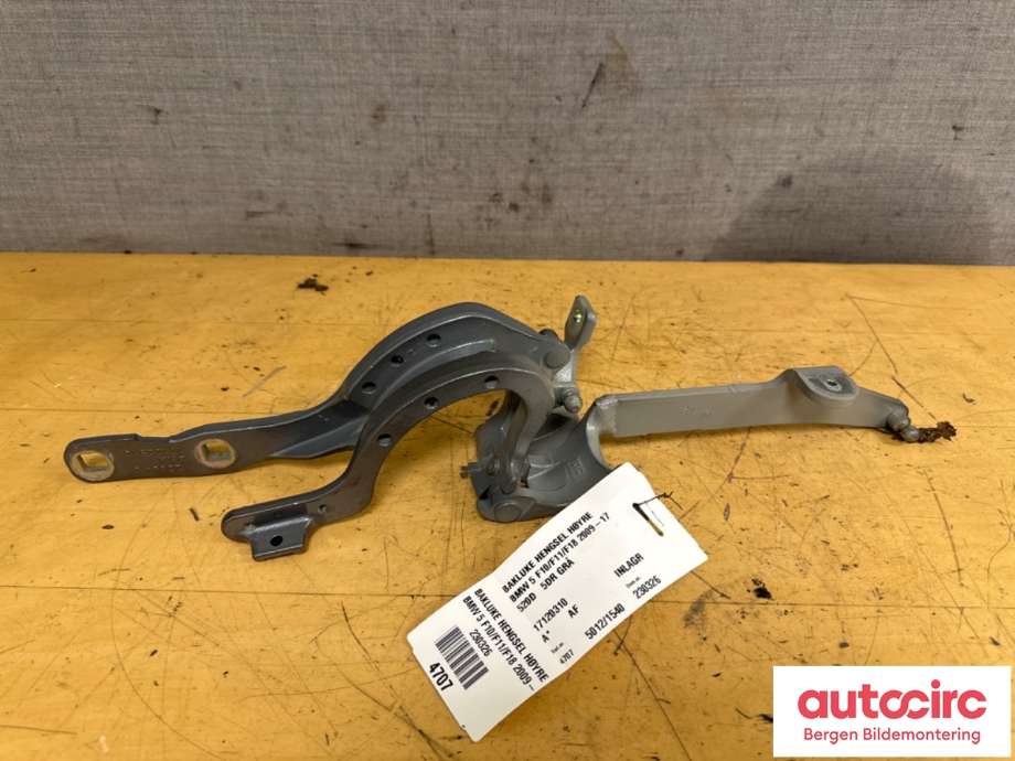 Hengsler til BMW 5-Serie 2010-2017 (F10/F11) (F10/F11) (BMW|41 62 7 206 642|7206640)