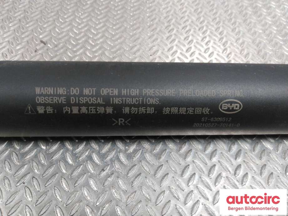 Baklukeåpner motor til BYD Tang 2020-->>  (BYD|ST6309512|)