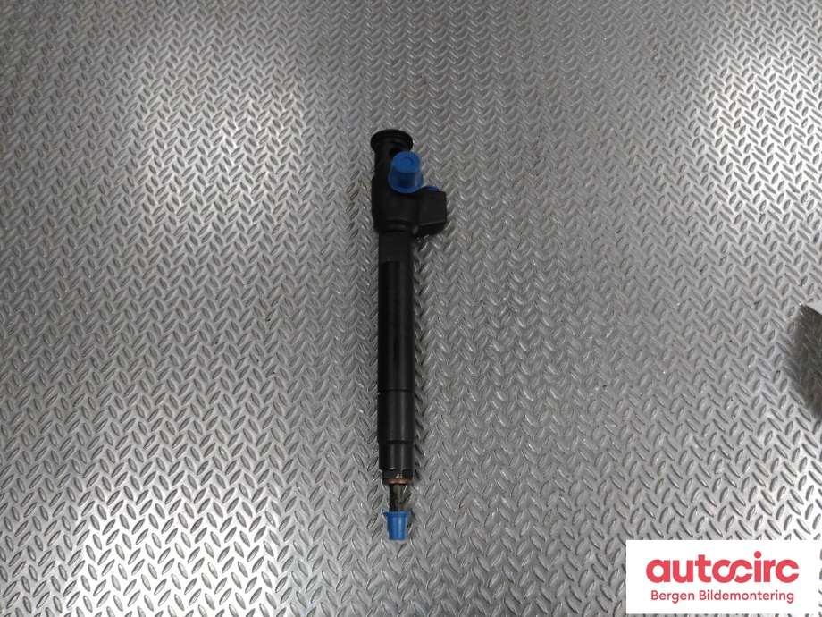 Dyse innsprøyting diesel til Ford Focus 2014-2018 (Type III, Fase 2) (FORD|2407504|DS7Q-9F593-BB|)