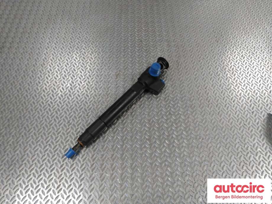 Dyse innsprøyting diesel til Ford Focus 2014-2018 (Type III, Fase 2) (FORD|2407504|DS7Q-9F593-BB|)