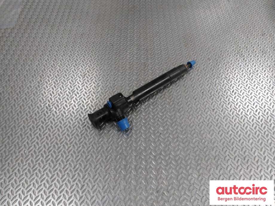 Dyse innsprøyting diesel til Ford Focus 2014-2018 (Type III, Fase 2)  (FORD|2407504|DS7Q-9F593-BB|)