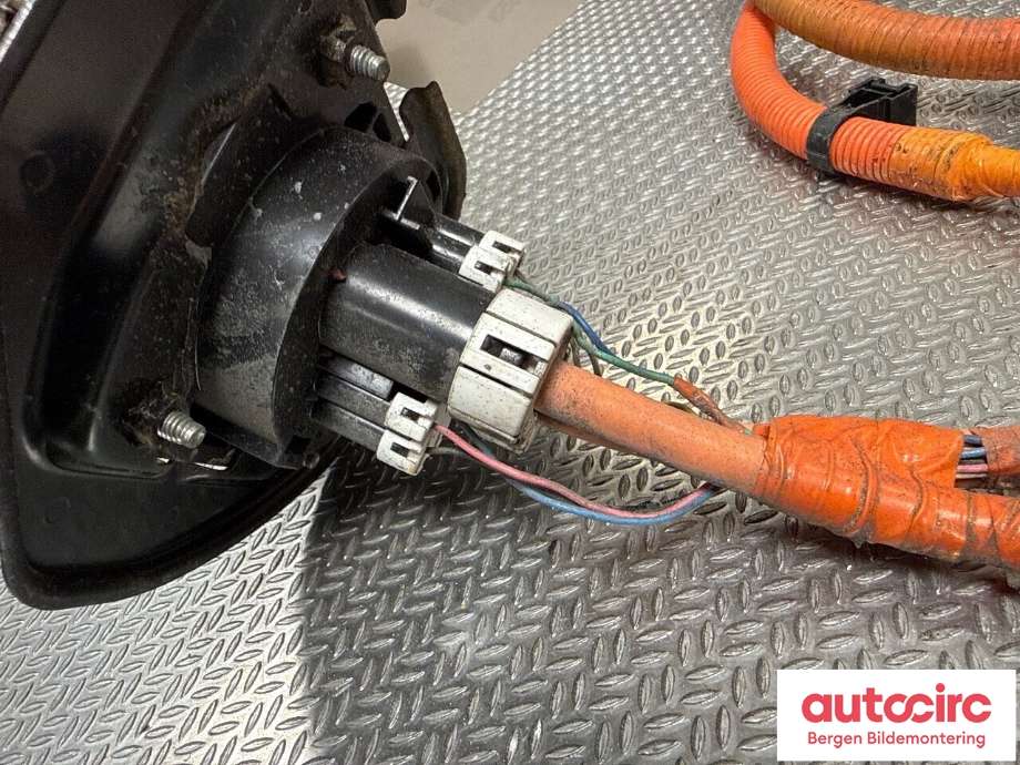 Ledningsnett til Peugeot iOn 2011-2020 (PEUGEOT|16 141 966 80|)