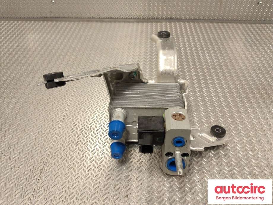 Varmeapparat diverse til Ford Mustang Mach-e 2020-->> (FORD (US)|2487212|)