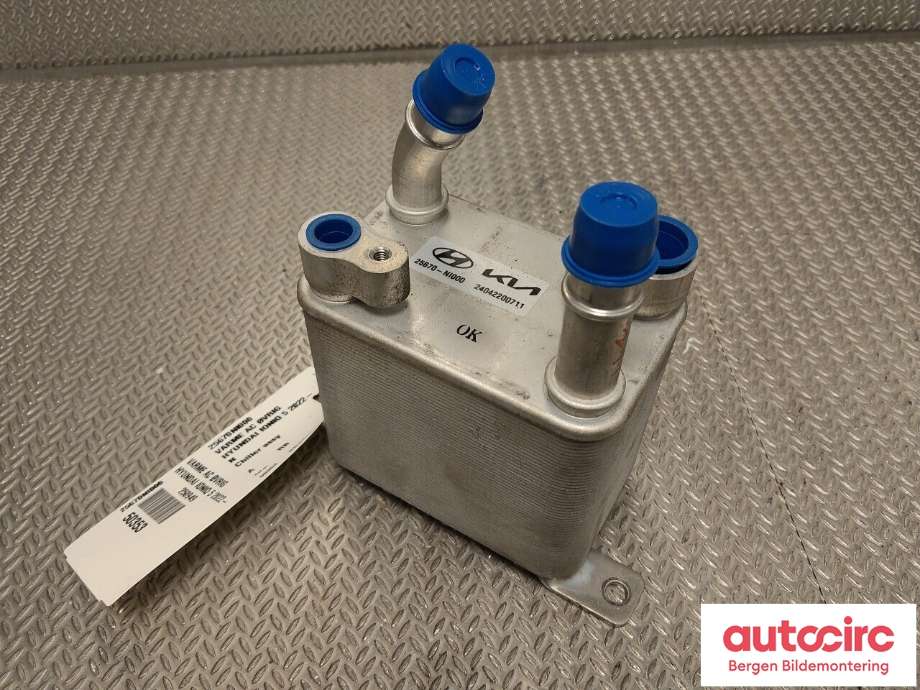 Diverse deler til Hyundai Ioniq 5 2021-->>  (HYUNDAI|254N0NI000|)