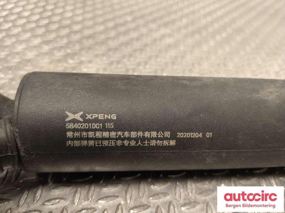 Baklukedemper til XPeng G3 2021-->>  (XPENG||5840201DC1)