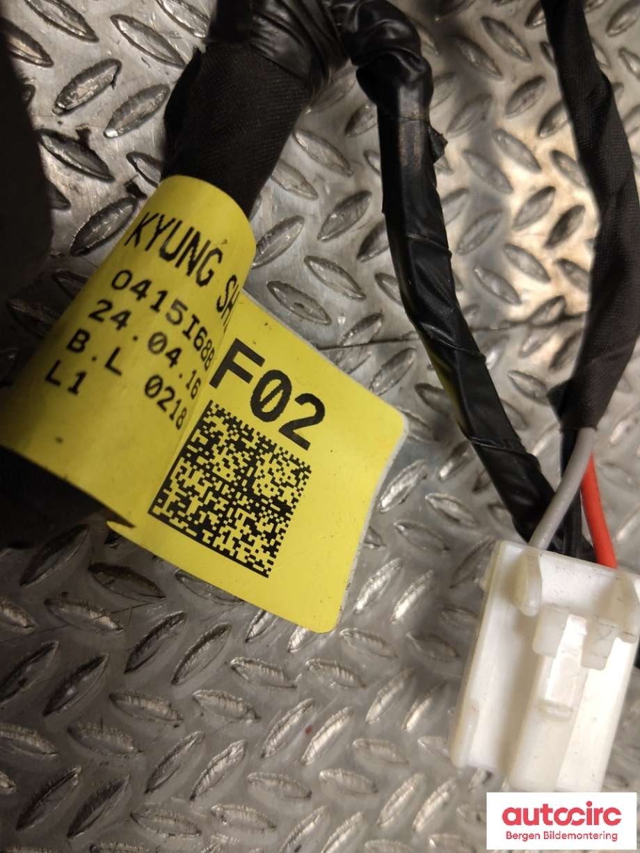 Ledningsnett til Hyundai Ioniq 5 2021-->>  (HYUNDAI|91655NI020||91655NI020AB)