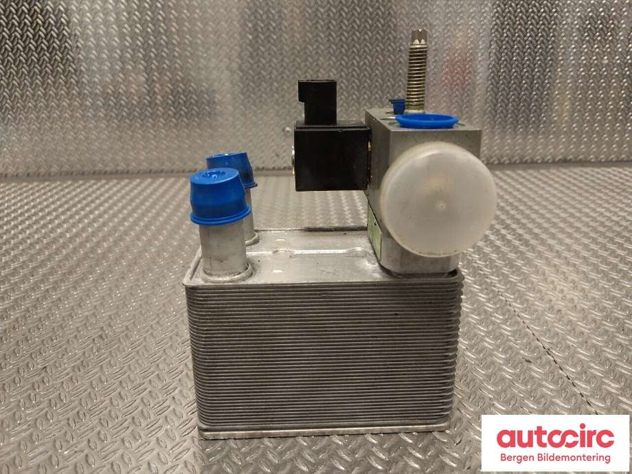 Varmeapparat diverse til Ford Mustang Mach-e 2020-->>  (FORD (US)|2487212|LJ9H-10C708-AE|)