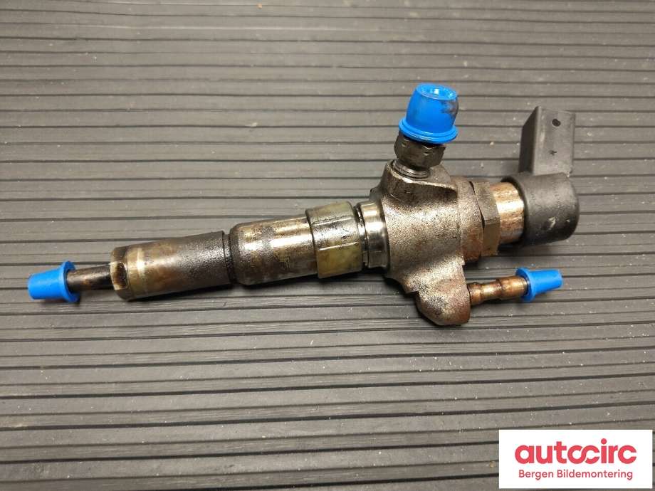 Dyse innsprøyting diesel til Peugeot 5008 2010-2017 (Type I) (PEUGEOT|98 024 486 80|1980 ER|)