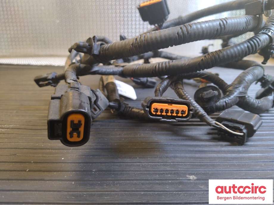 Ledningsnett til Kia Soul 2014-2019 (Type II)  (KIA|91890E 4010||91890-E4010-F)