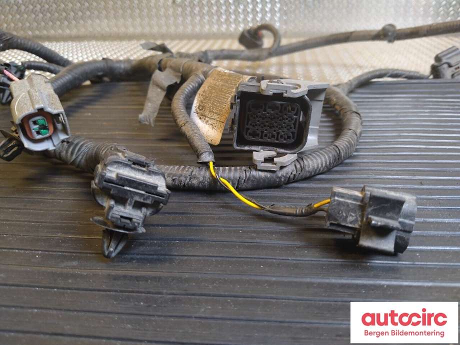 Ledningsnett til Kia Soul 2014-2019 (Type II)  (KIA|91890E 4210|)