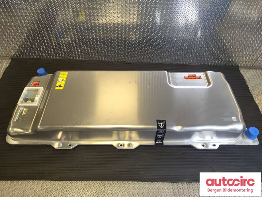 Batterilader (OBC - On Board Charger) til Tesla Model Y 2021-2024 (Type I) (TESLA|1135558-55-B|)