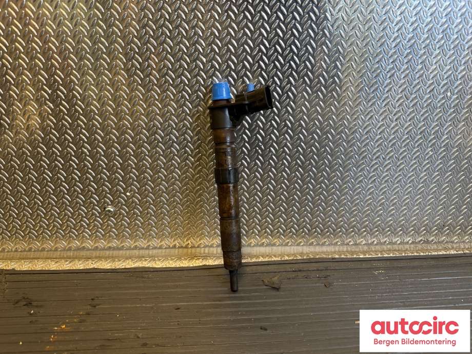 Dyse innsprøyting diesel til Land Rover Freelander 2007-2014 (Type II) (LAND-ROVER|6G9Q9F593AA|LR001325|)