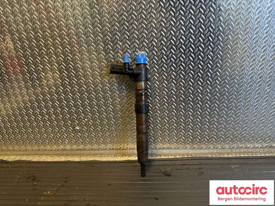 Dyse innsprøyting diesel til Land Rover Freelander 2007-2014 (Type II) (LAND-ROVER|6G9Q9F593AA|LR001325|)
