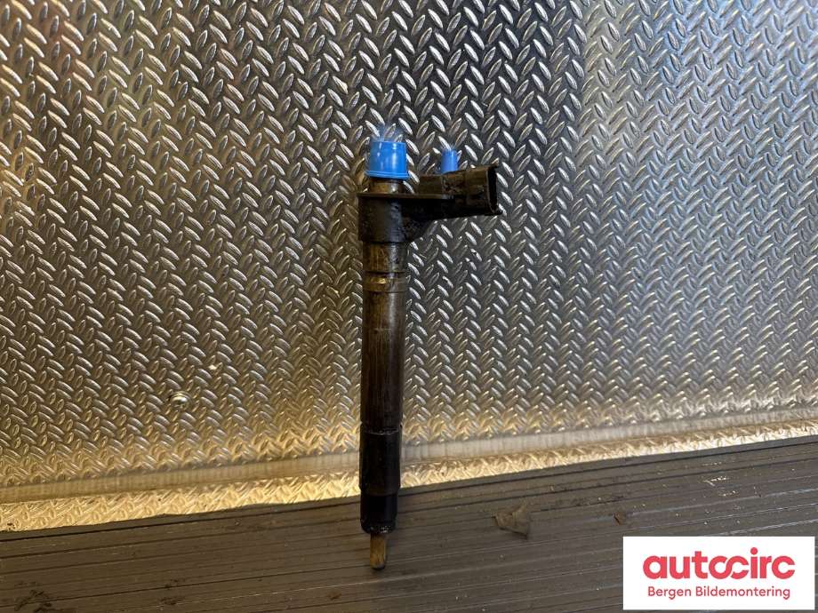 Dyse innsprøyting diesel til Land Rover Freelander 2007-2014 (Type II)  (LAND-ROVER|6G9Q9F593AA|LR001325|)