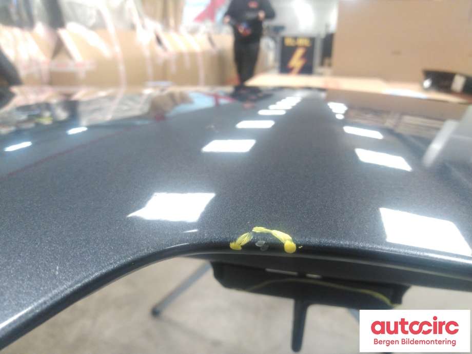Panser til Renault Zoe 2013-2019 (Fase 1)  (RENAULT|)