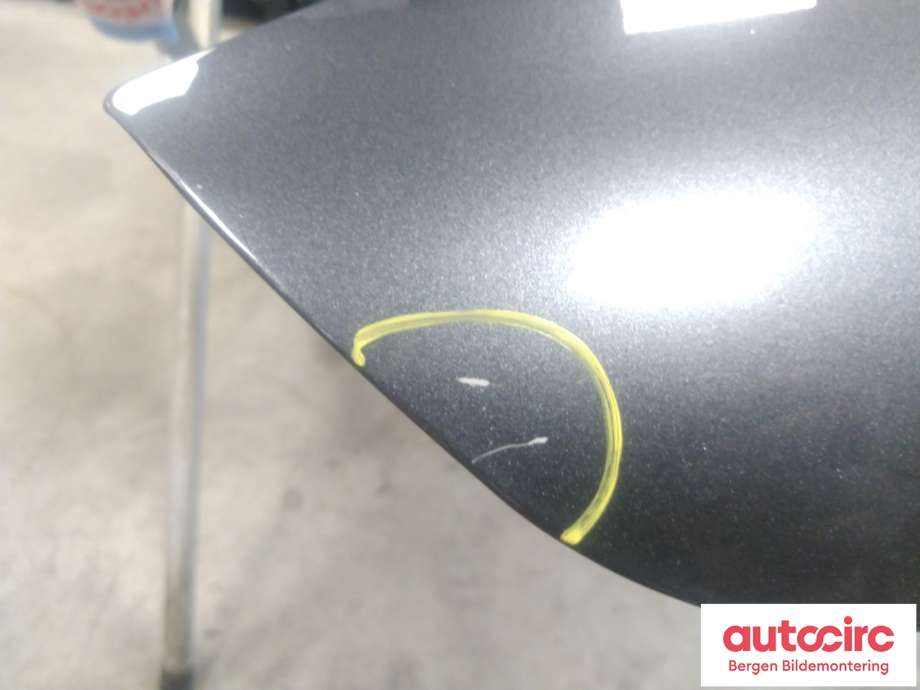 Panser til Renault Zoe 2013-2019 (Fase 1)  (RENAULT|)