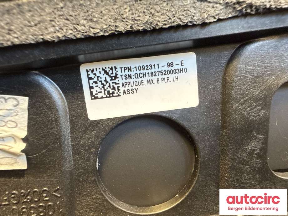 Lister til Tesla Model X 2016-->> (TESLA|1092311-98-E|)