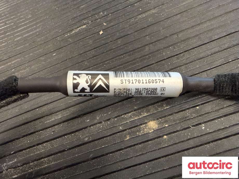 Kamera til Peugeot 308 2013-2021 (Type II)  (PEUGEOT|98 125 039 80|)