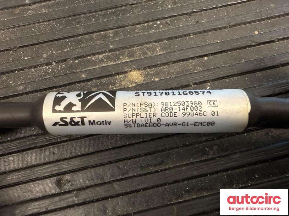Kamera til Peugeot 308 2013-2021 (Type II)  (PEUGEOT|98 125 039 80|)