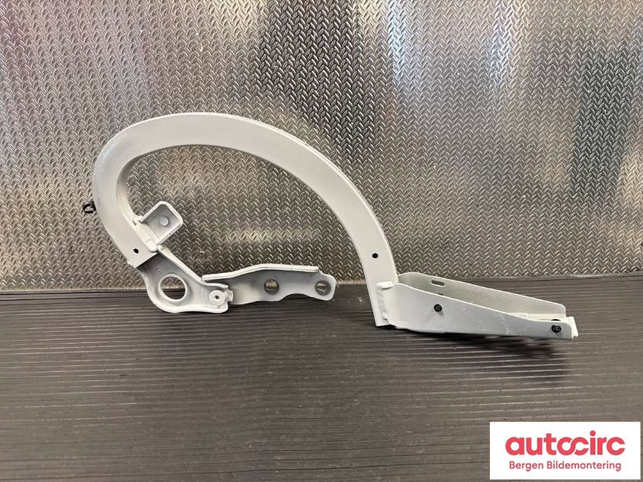 Hengsler til Porsche Taycan 2019-->> (PORSCHE|9J1 827 151 Y|)